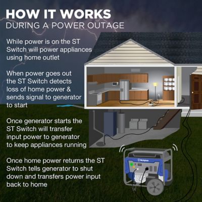 Image showing  120V 20A Portable Automatic Transfer Switch with Smart Technology