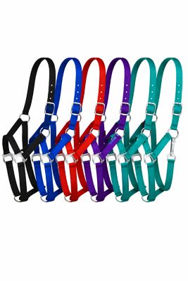 Tough1 Economy Horse Halter, 6 pk.