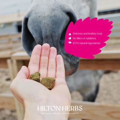 Image showing  Herballs No. 2 Turmeric & Ginger Horse Treat 4.4 lb. bag