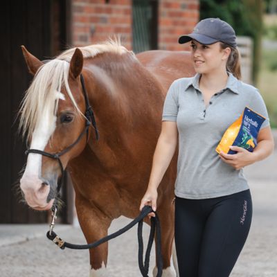 Image showing  Herballs No. 2 Turmeric & Ginger Horse Treat 4.4 lb. bag