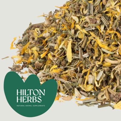 Image showing  Cleavers and Marigold Lymphatic Support Horse Supplement 1.65 lb. bag