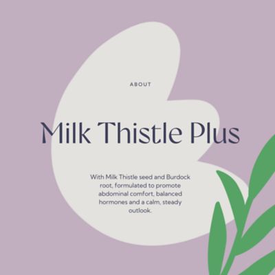 Image showing  Milk Thistle Plus Gold Equine Liver & Kidney Support 1.05 pt.