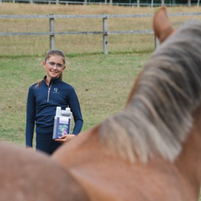 Image showing  Milk Thistle Plus Gold Equine Liver & Kidney Support 1.05 pt.