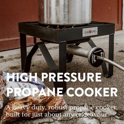 Image showing  200K BTU Single Propane Burner