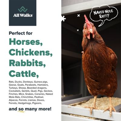 Image showing 5 th All Walks Premium Hemp Animal Bedding, 150L