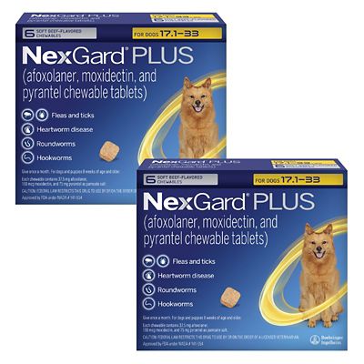 Image showing  PLUS Flea, Tick & Worm Treatment Chewables for Dogs