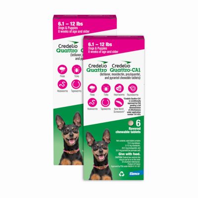 Credelio Quattro/Quattro-CA1 Dog Flea & Tick Treatment, Heartworm & Parasite Coverage