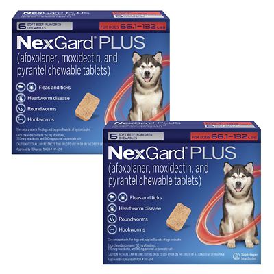 Image showing  PLUS Flea, Tick & Worm Treatment Chewables for Dogs