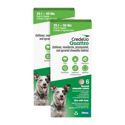 Image showing  Quattro Flea and Tick Flavored Chewable Tablet for Dogs and Puppies