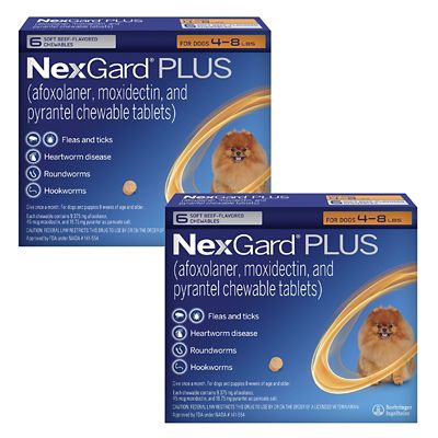 Image showing  PLUS Flea, Tick & Worm Treatment Chewables for Dogs