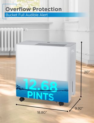 Image showing  50-Pint Portable Dehumidifier with Pump