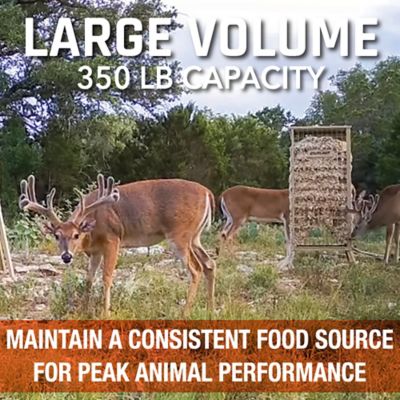 Image showing  350 lb. Cottonseed Feeder