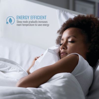 Image showing  12,000 BTU 230V Through-the-Wall Air Conditioner Cools 550 sq. ft. with Remote