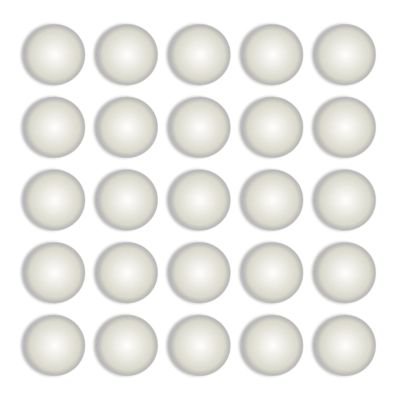 Steambow AR-Series B08 cal .68 Nylon Balls Set of 25