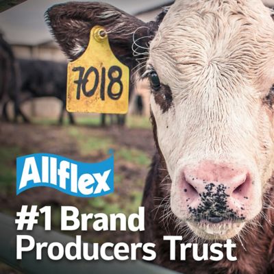 Image showing  ATag Cow Blank Ear Tags White, 25 pk.