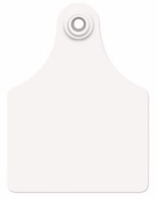 Allflex Maxi Cow Blank Ear Tags White, 25 pk.