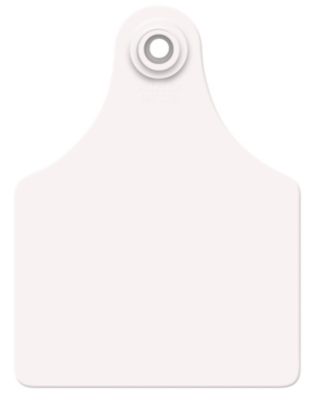 Allflex Large Calf Blank Ear Tags White, 25 pk.