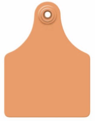 Allflex Maxi Cow Blank Ear Tags Orange, 25 pk.