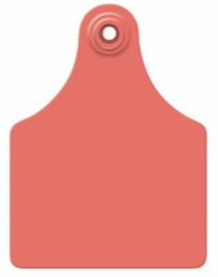 Allflex Maxi Cow Blank Ear Tags Red, 25 pk.