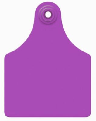 Allflex Maxi Cow Blank Ear Tags Purple, 25 pk.
