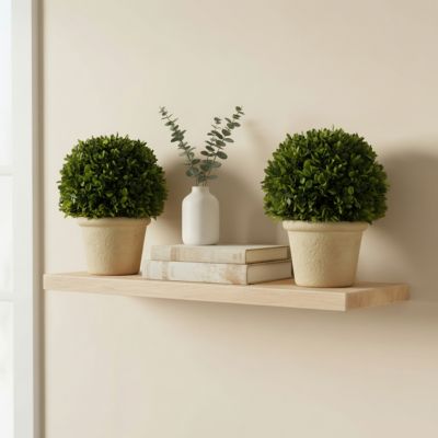 Image showing  10.75 in. Preserved Boxwood Topiary with Terracotta Pot, Set of 2