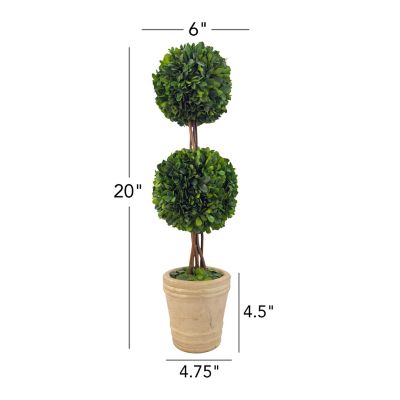Image showing 3 th Shine Company Cadbury 20 in. Handcrafted Preserved Double-Ball Boxwood Topiary in Pot