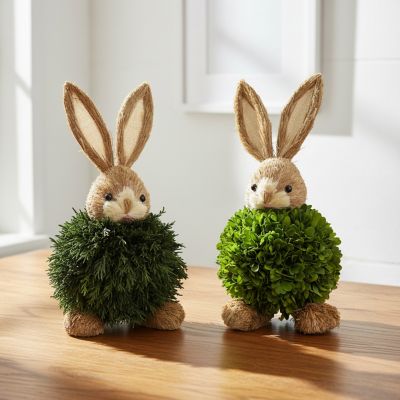 Image showing Handcrafted Preserved Cypress & Boxwood Rabbit Decor Set of 2