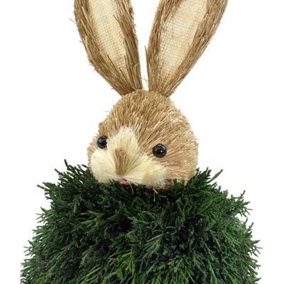 Image showing Handcrafted Preserved Cypress & Boxwood Rabbit Decor Set of 2