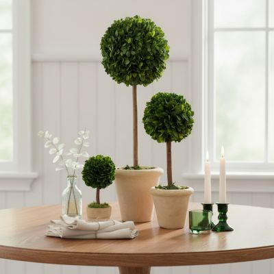 Image showing  Farmstead Handcrafted Preserved Boxwood Topiary in Pot Set of 3