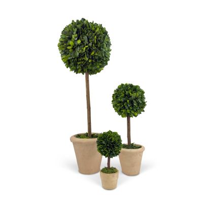 Image showing  Farmstead Handcrafted Preserved Boxwood Topiary in Pot Set of 3