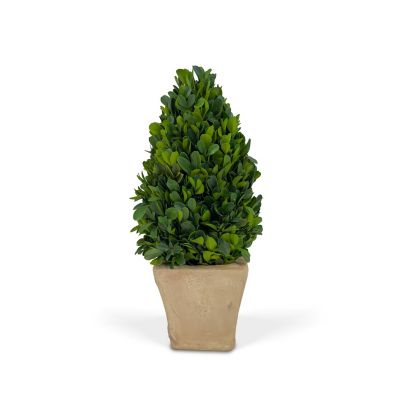 Shine Company EverGreen Handcrafted Preserved Boxwood Cone Topiary Tabletop Decor, 12 in.