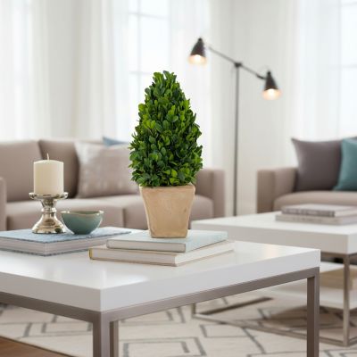 Image showing  EverGreen Handcrafted Preserved Boxwood Cone Topiary Tabletop Decor, 12 in.