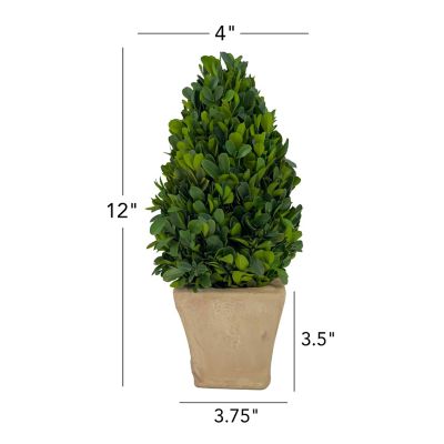 Image showing  EverGreen Handcrafted Preserved Boxwood Cone Topiary Tabletop Decor, 12 in.