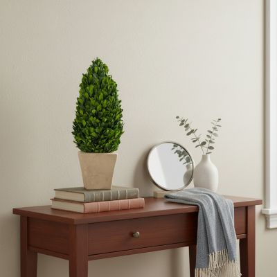 Image showing  EverGreen Handcrafted Preserved Boxwood Cone Topiary Tabletop Decor, 16 in.