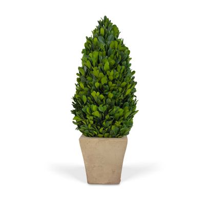 Image showing  EverGreen Handcrafted Preserved Boxwood Cone Topiary Tabletop Decor, 16 in.