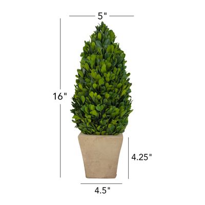 Image showing  EverGreen Handcrafted Preserved Boxwood Cone Topiary Tabletop Decor, 16 in.