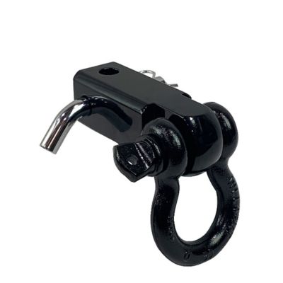 Image showing  D-Ring Receiver Hitch Mount, Black, 19109901