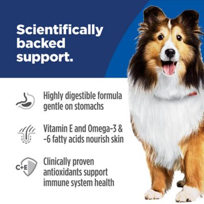 Image showing  Science Diet Adult Sensitive Stomach & Sensitive Skin Salmon- Canine