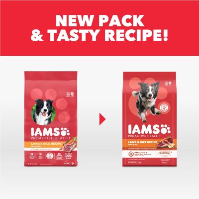 Image showing  Proactive Health Adult Minichunks Lamb & Rice Recipe Dry Dog Food 5 lb. Bag