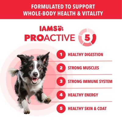 Image showing  Proactive Health Adult Minichunks Lamb & Rice Recipe Dry Dog Food 5 lb. Bag