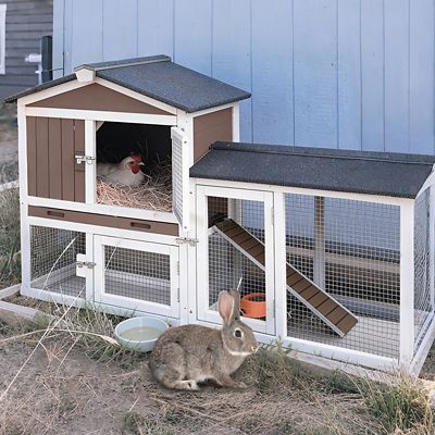 Image showing  Rabbit Hutch Easy Combine With Second Bunny Cage, Inner Space 10.4 ft. sq.