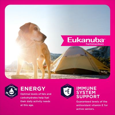 Image showing  Senior Large Breed Chicken Dry Dog Food