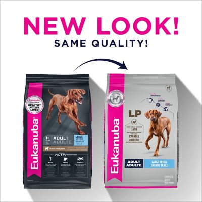 Image showing  Adult Large Breed Lamb Dry Dog Food