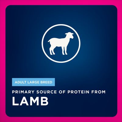 Image showing  Adult Large Breed Lamb Dry Dog Food