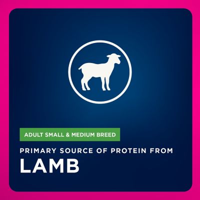 Image showing  Adult Lamb Dry Dog Food