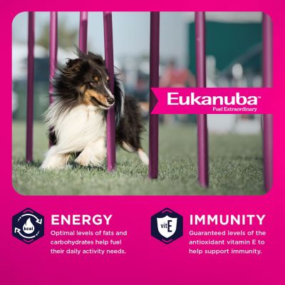 Image showing  Adult Lamb Dry Dog Food