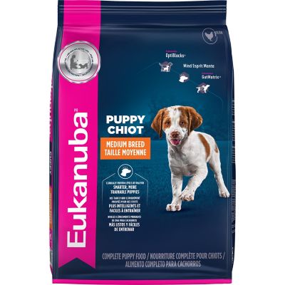 Eukanuba Puppy Early Advantage Chicken Formula Dry Dog Food
