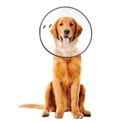 ZenPet E-Clear Pet Recovery Collar XLARGE