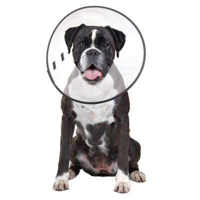 ZenPet E-Clear Pet Recovery Collar LARGE