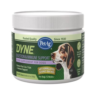 PetAg Dyne Soft Chew Immunity